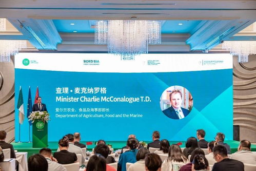 衡水新聞網(wǎng)公共關(guān)系策劃 構(gòu)建城市形象與公眾信任的橋梁