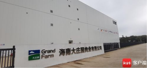 抓項目促投資 全球最大進口牛羊肉質(zhì)蛋白精深加工基地投產(chǎn) 洋浦未來有望打造超500億國際食品加工產(chǎn)業(yè)集群