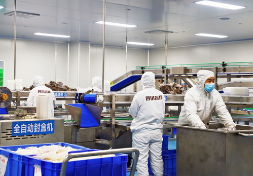 提質(zhì)擴(kuò)能 廣元利州推動食品飲料產(chǎn)業(yè)闊步發(fā)展