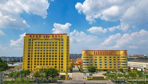 農業(yè)企業(yè)的時代使命 魯花樣本 助力鄉(xiāng)村振興的實踐探索